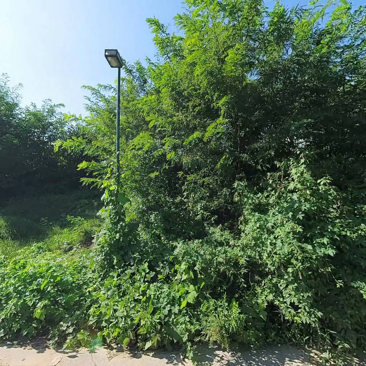 (주)유정식품 방도리점_3