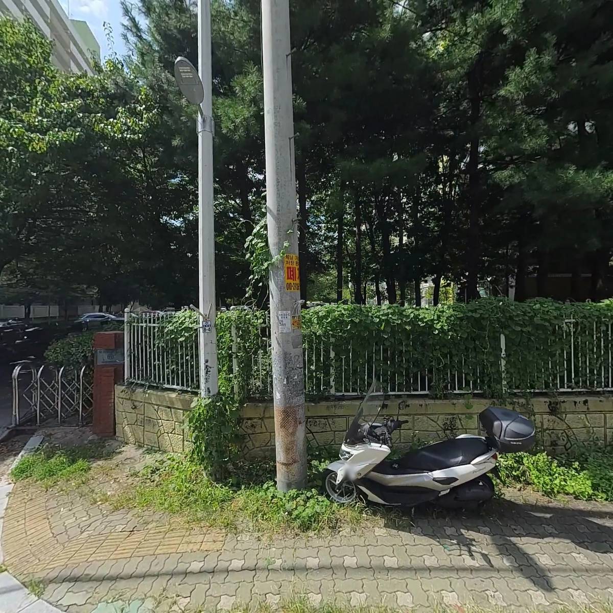 싹쓰리식당