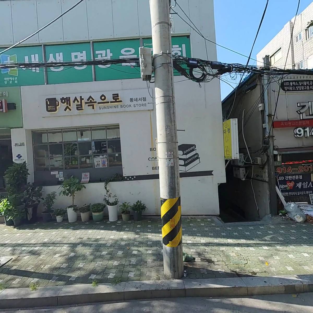 햇살속으로