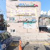 한나라한뿌리근 한근