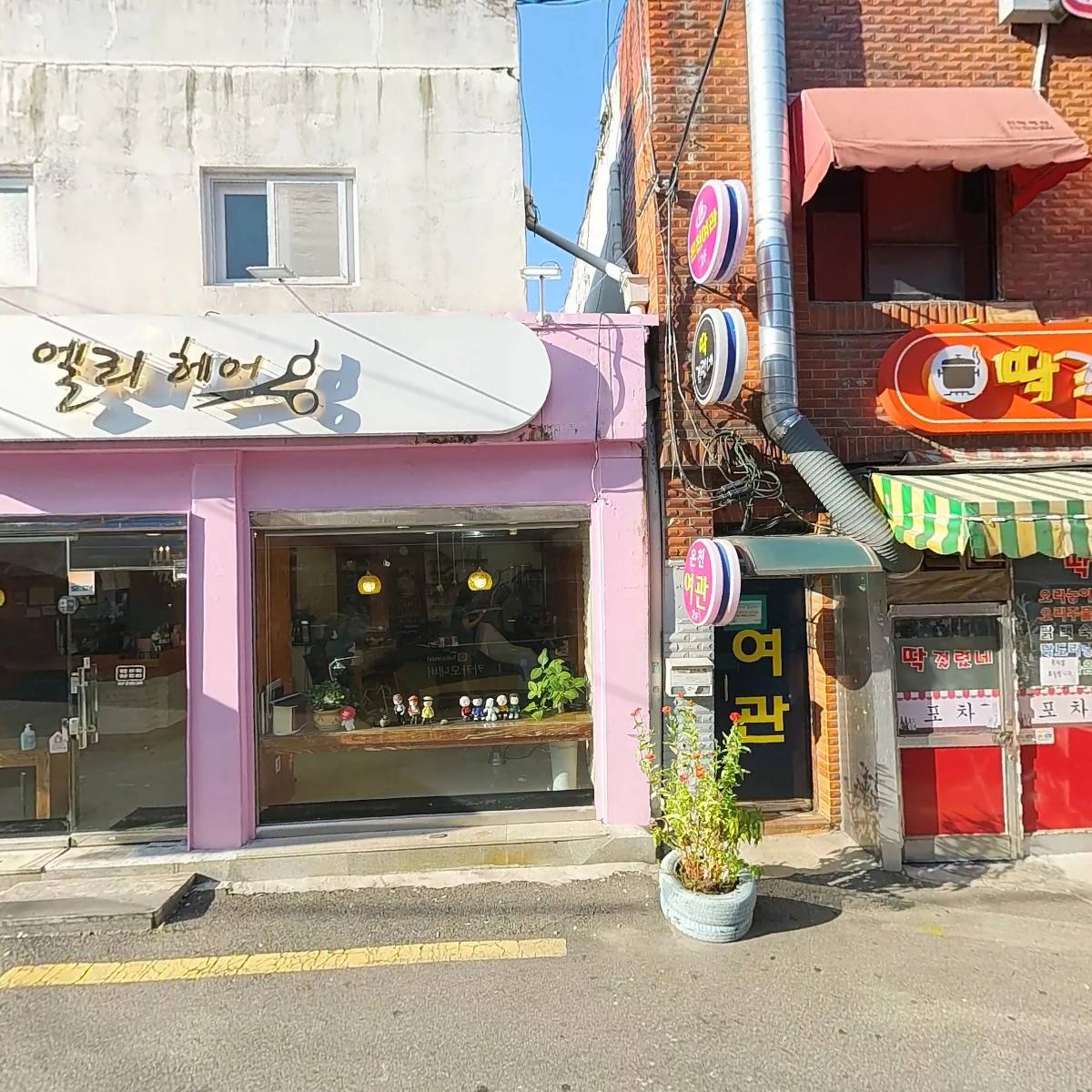 오래된숲