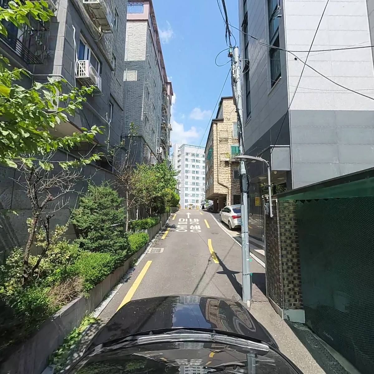 온새미_4