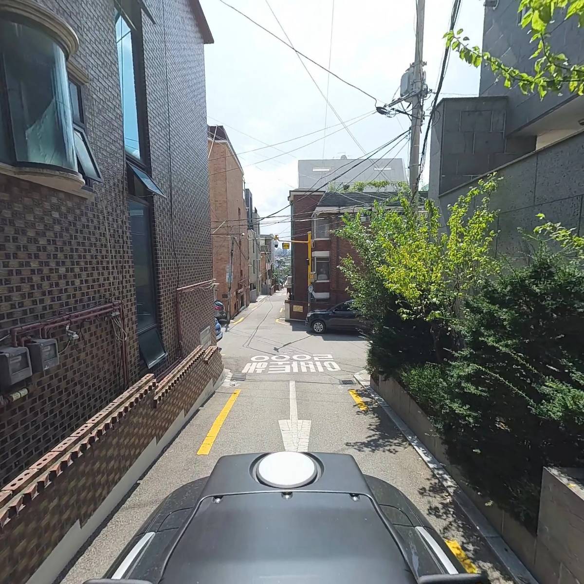 온새미_2