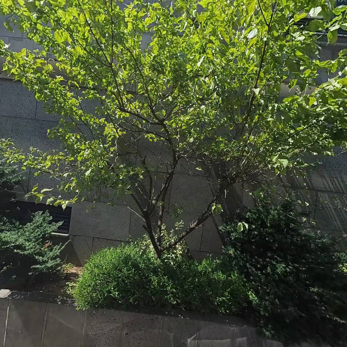 온새미_3