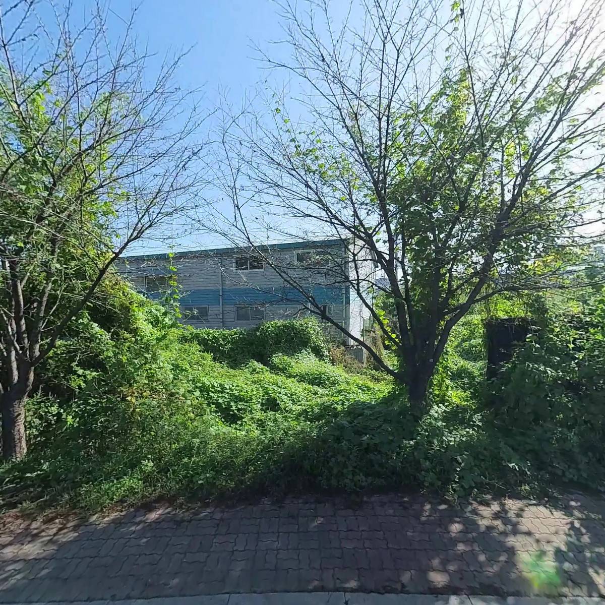 러블리펫