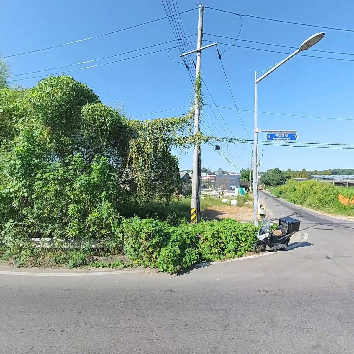 러블리펫_3