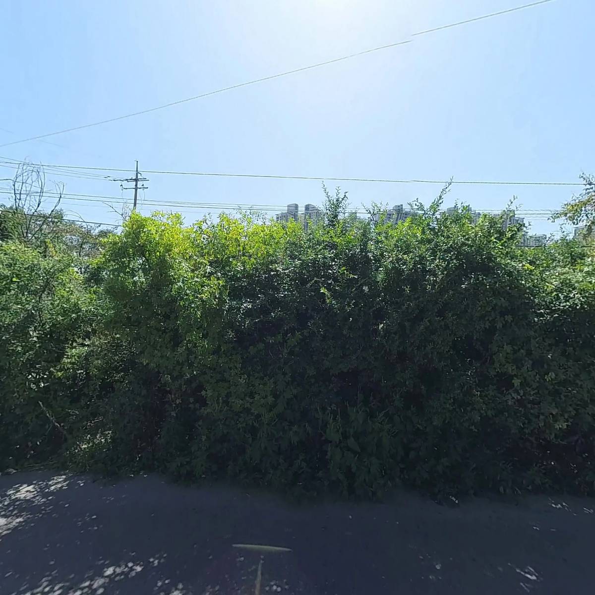 더봄_3