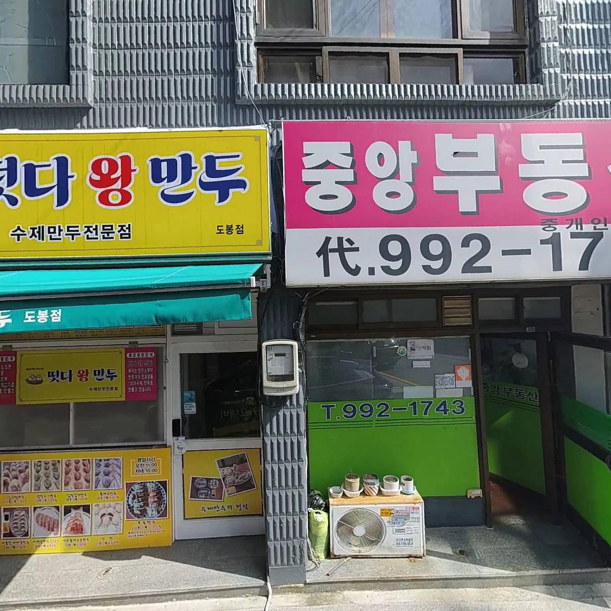 흑도야지