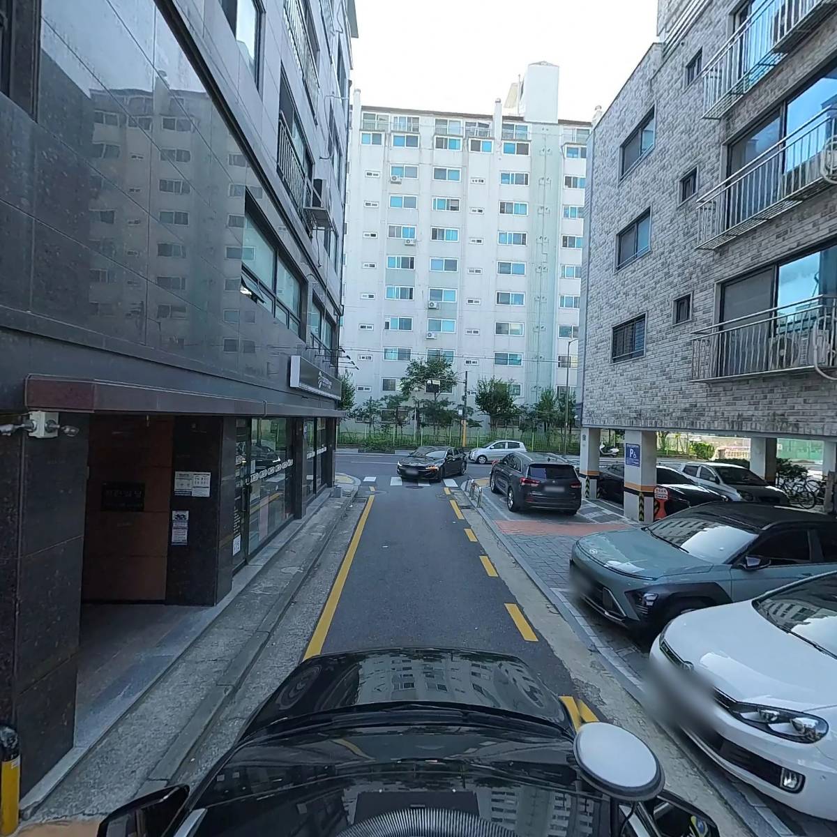 더트림즈_4