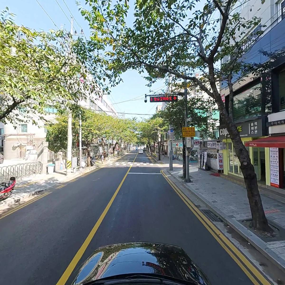 부대통령뚝배기_4