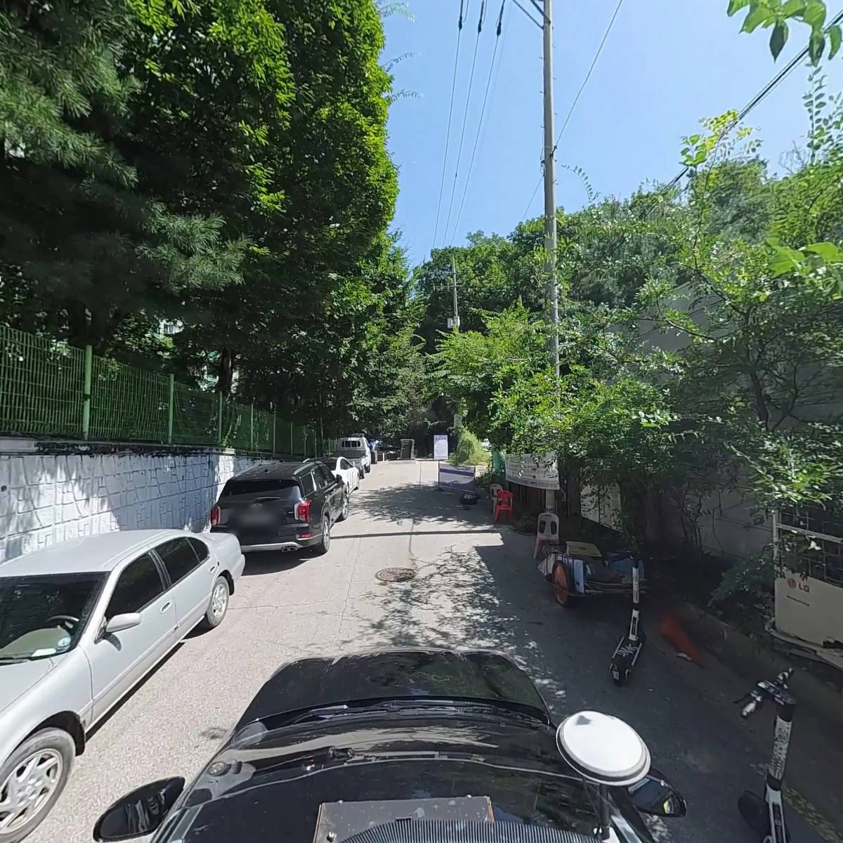 터줏대감_4