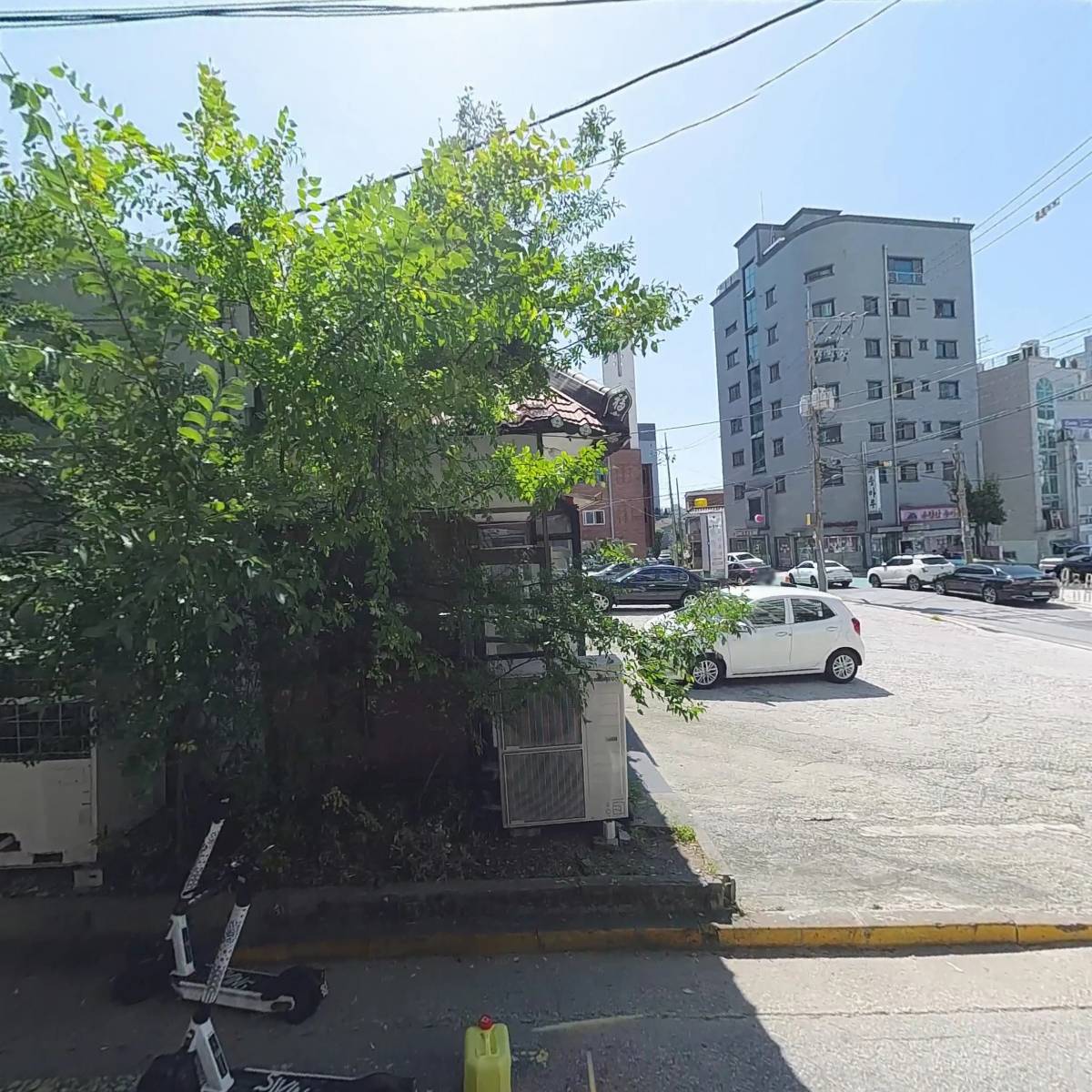 터줏대감