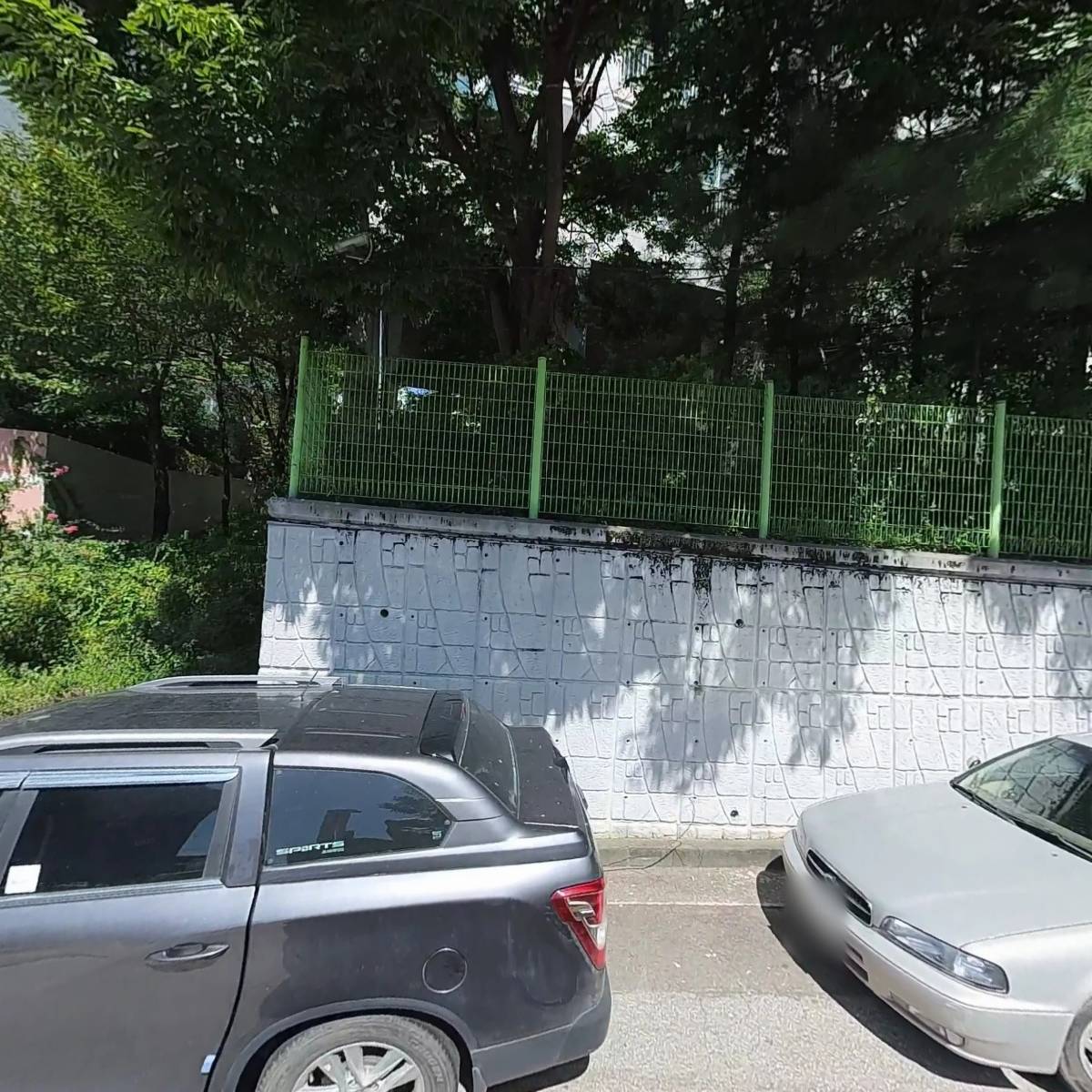 터줏대감_3