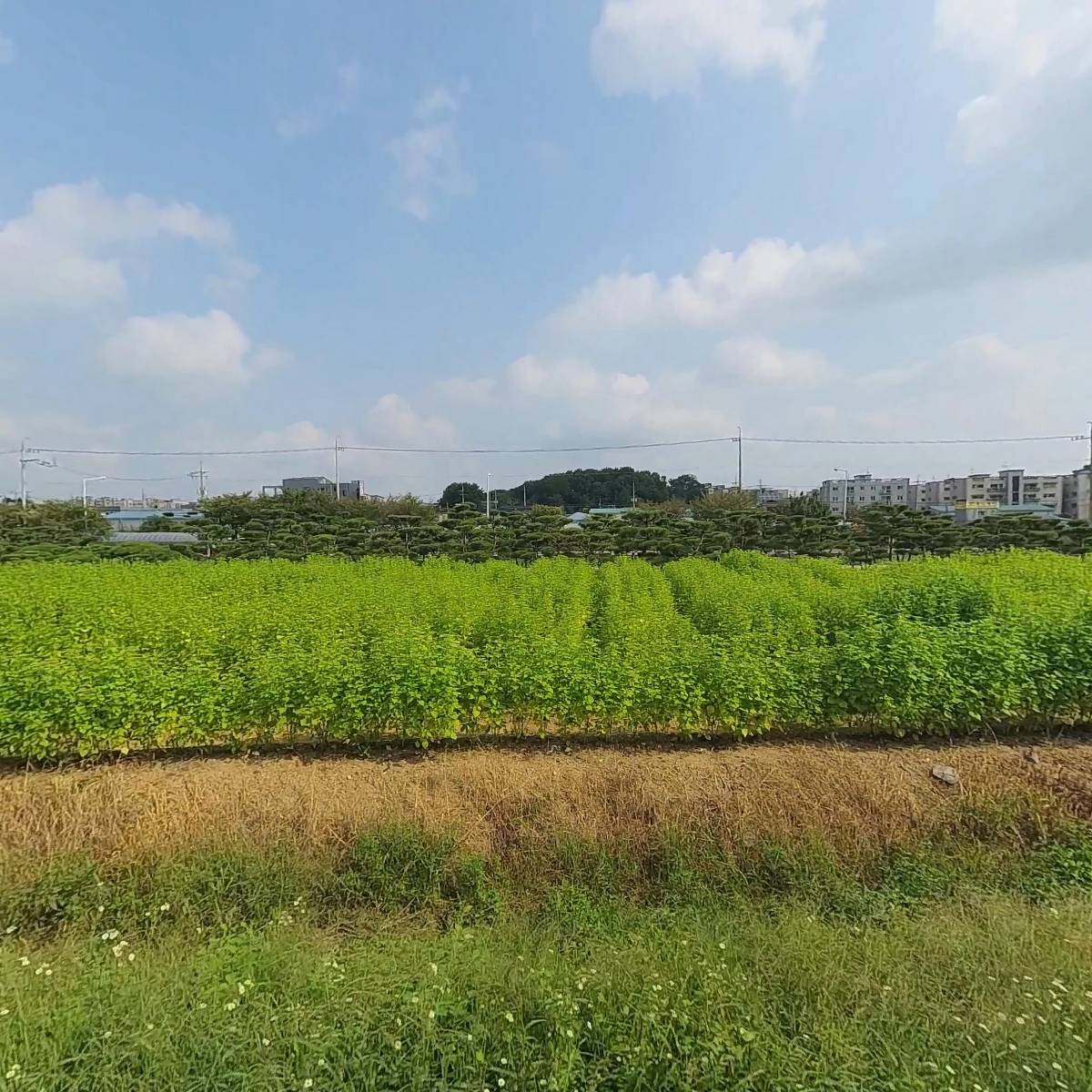 해피브레드