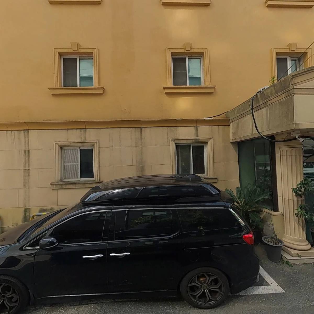 피닉스동물병원