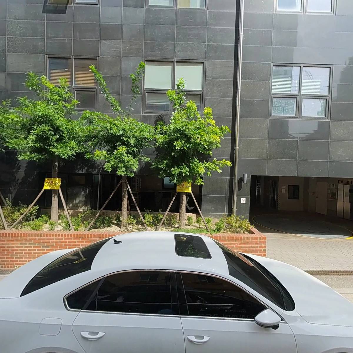 피닉스동물병원_3