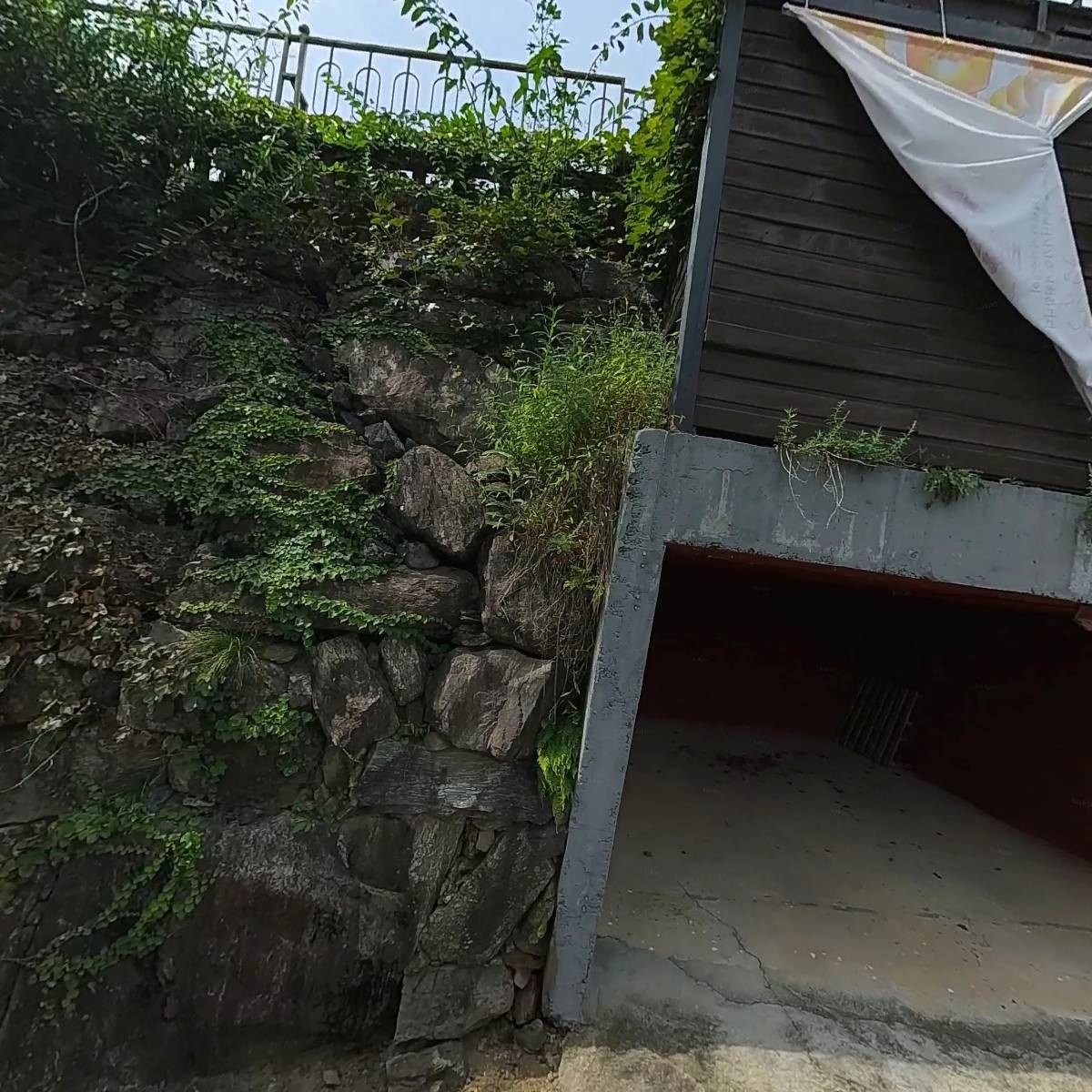 세계불교 여래종