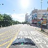 스타일 독_4