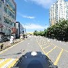 스타일 독_2
