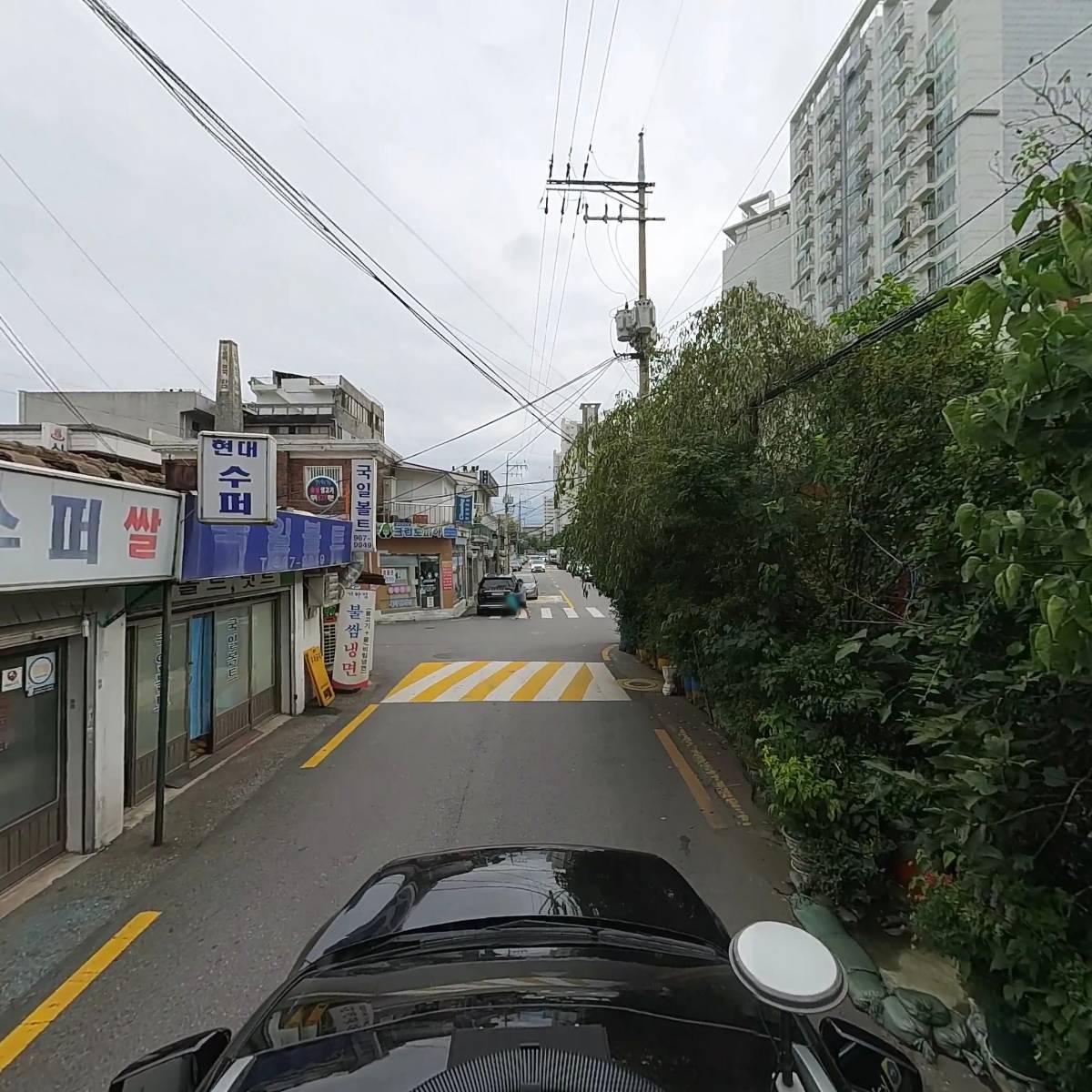 고려장뇌산삼_4