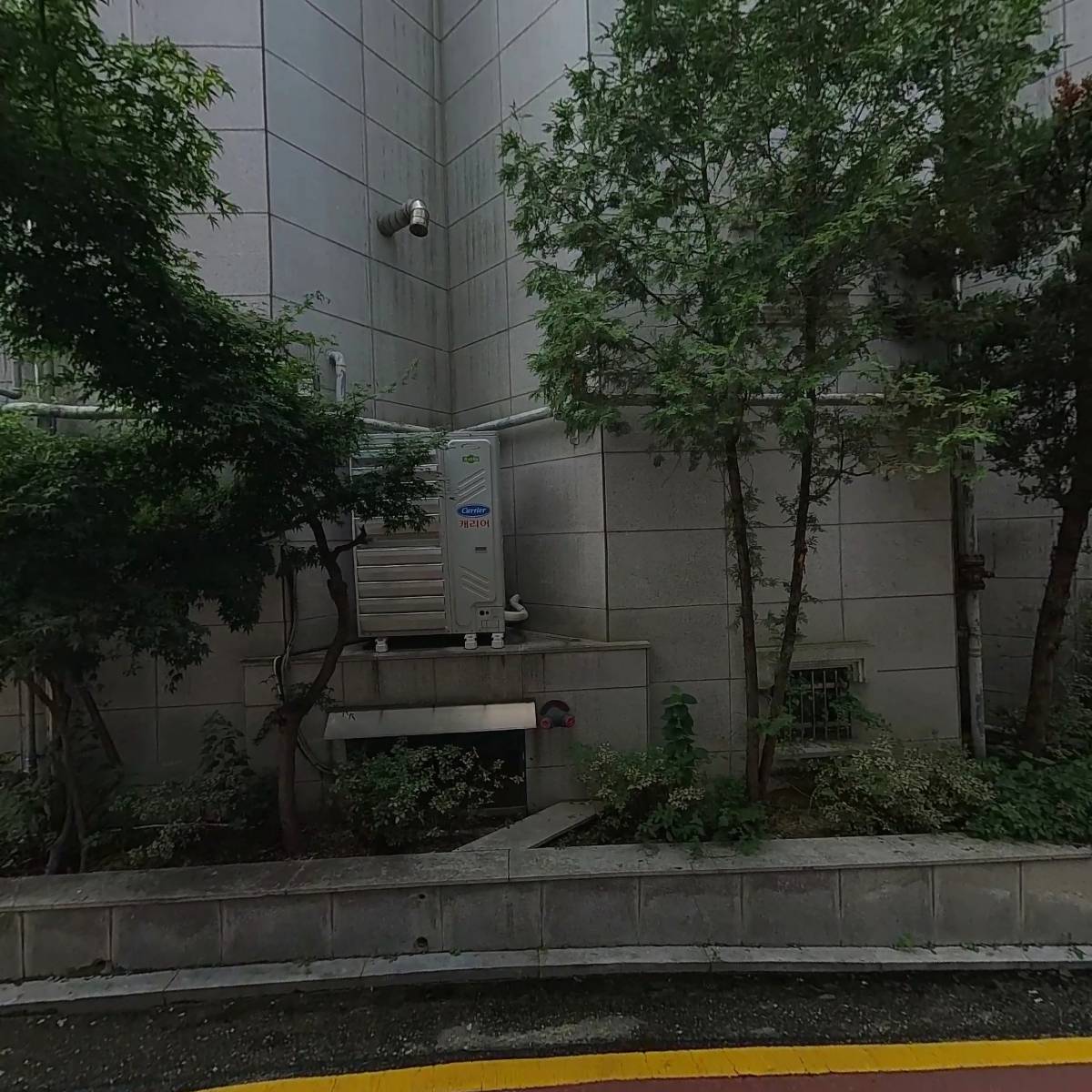 몰리나