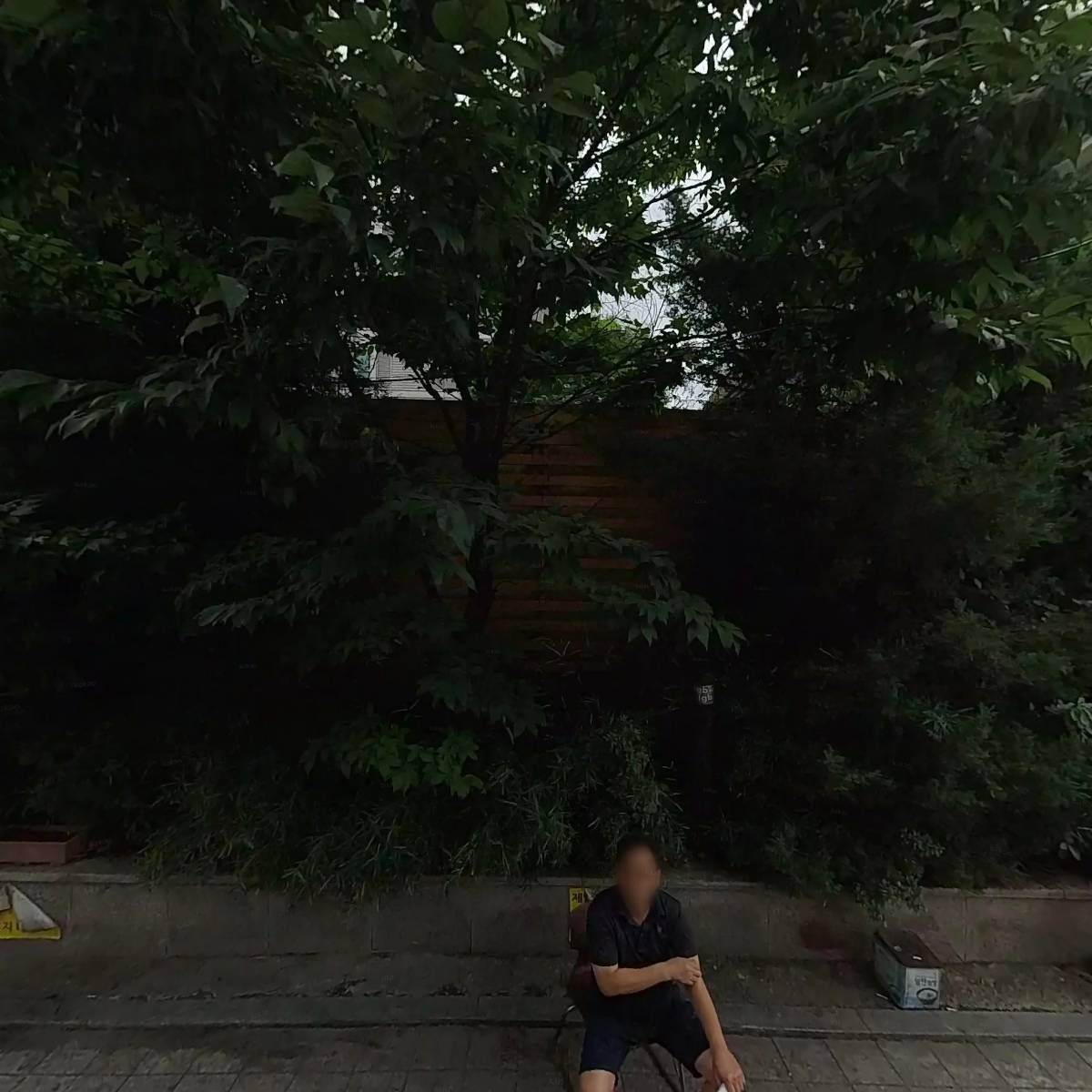 디엔티