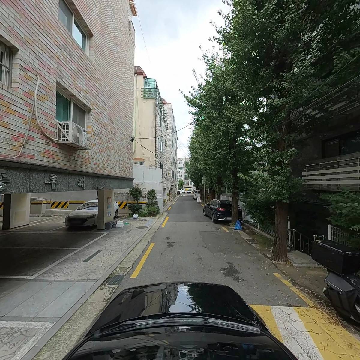 모노드봉_4