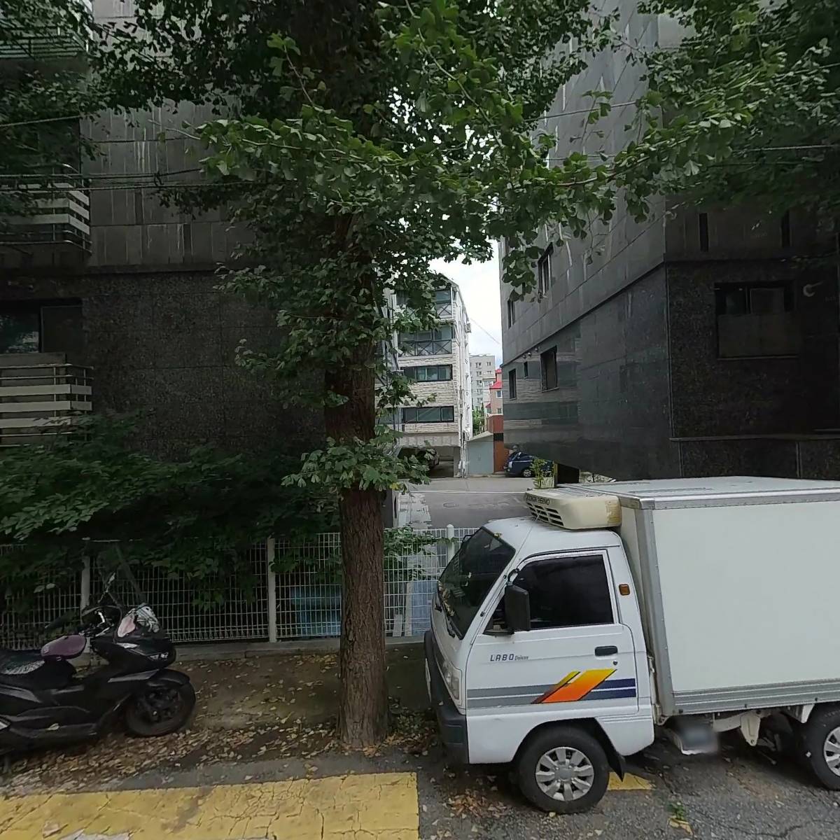 모노드봉