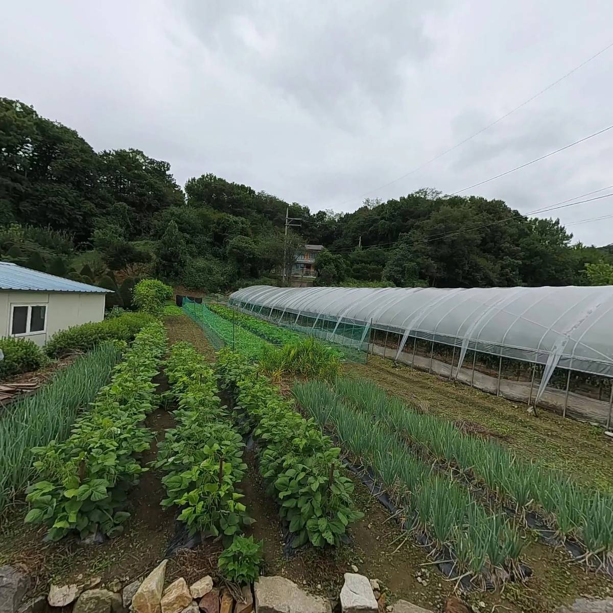 에이치씨씨(주)_3