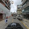 봄동_4