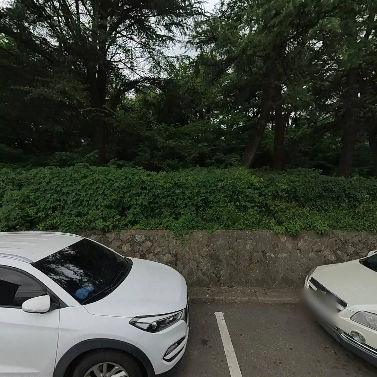 진성공조_3