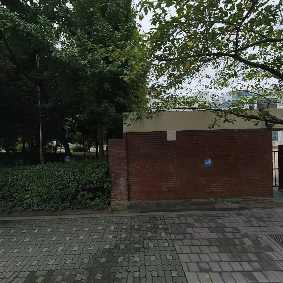 한국메디칼사푸라이지회