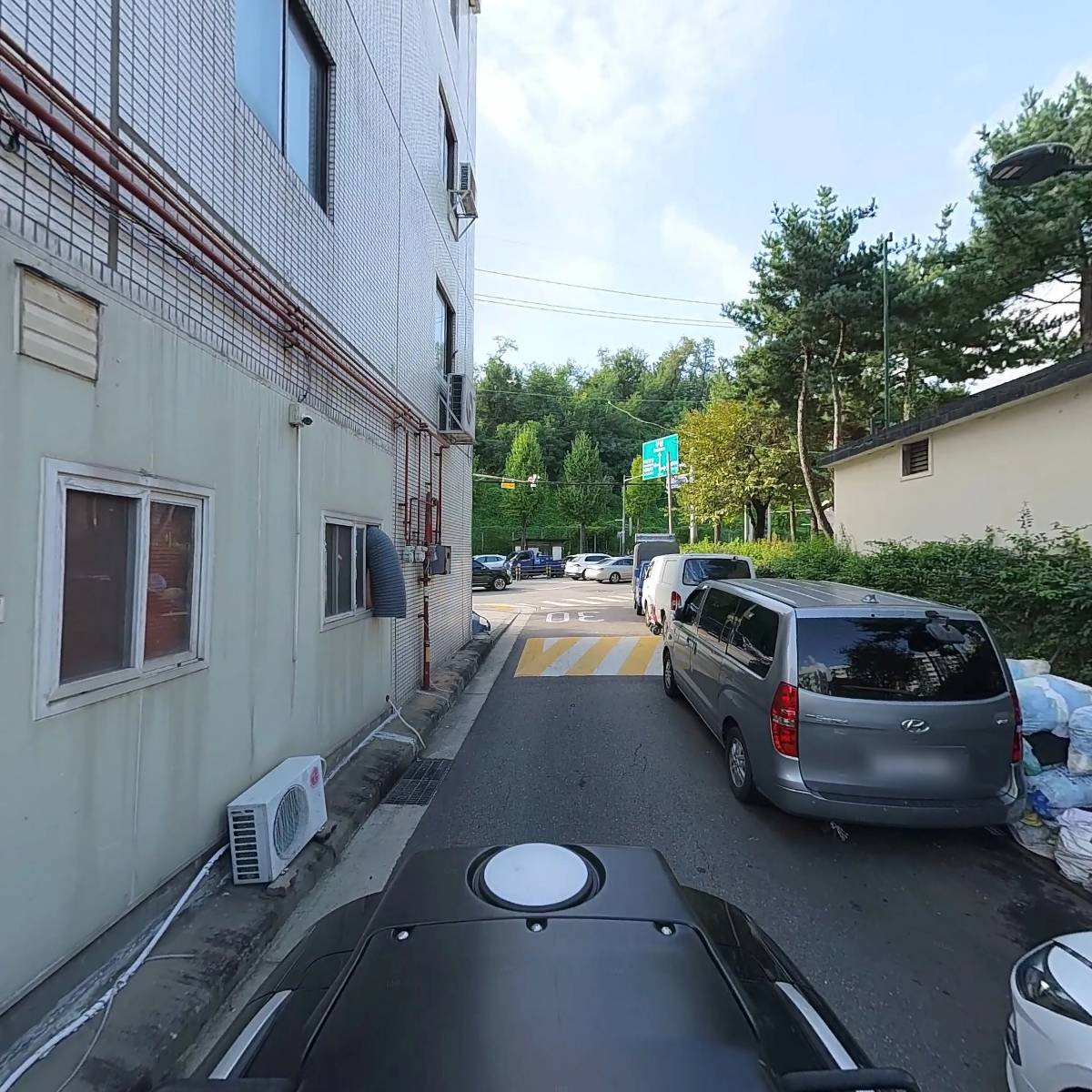 왕솔닭오리_2