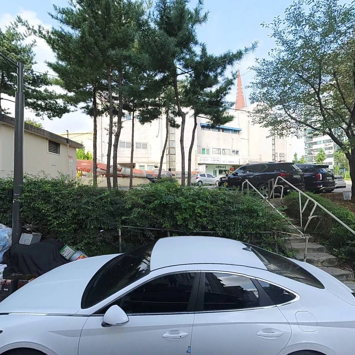 왕솔닭오리_3