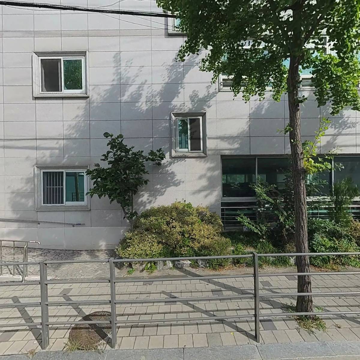 사랑초 데이케어센터