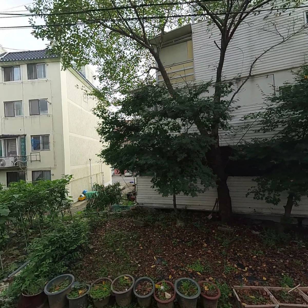 길똥이네