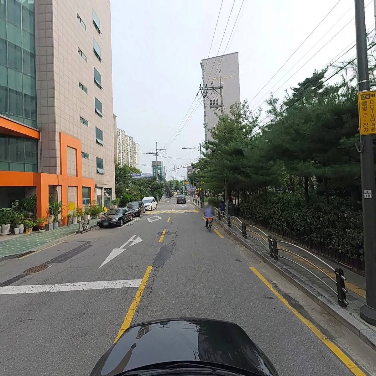 루체그린_4