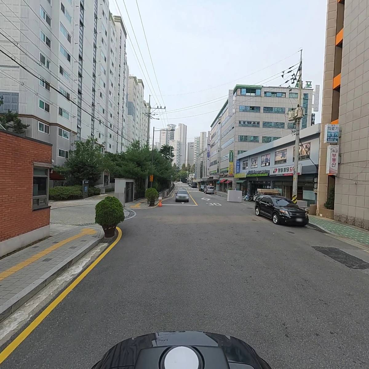 루체그린_2