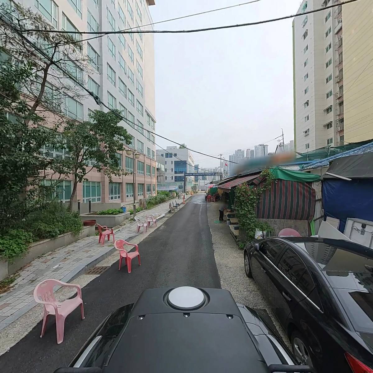 배미쟁이_2