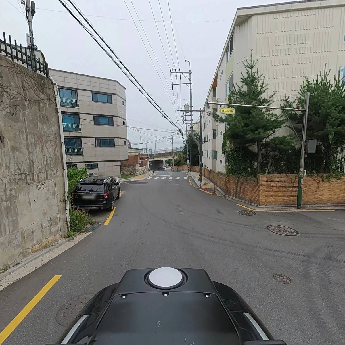 라즈베리베리_2