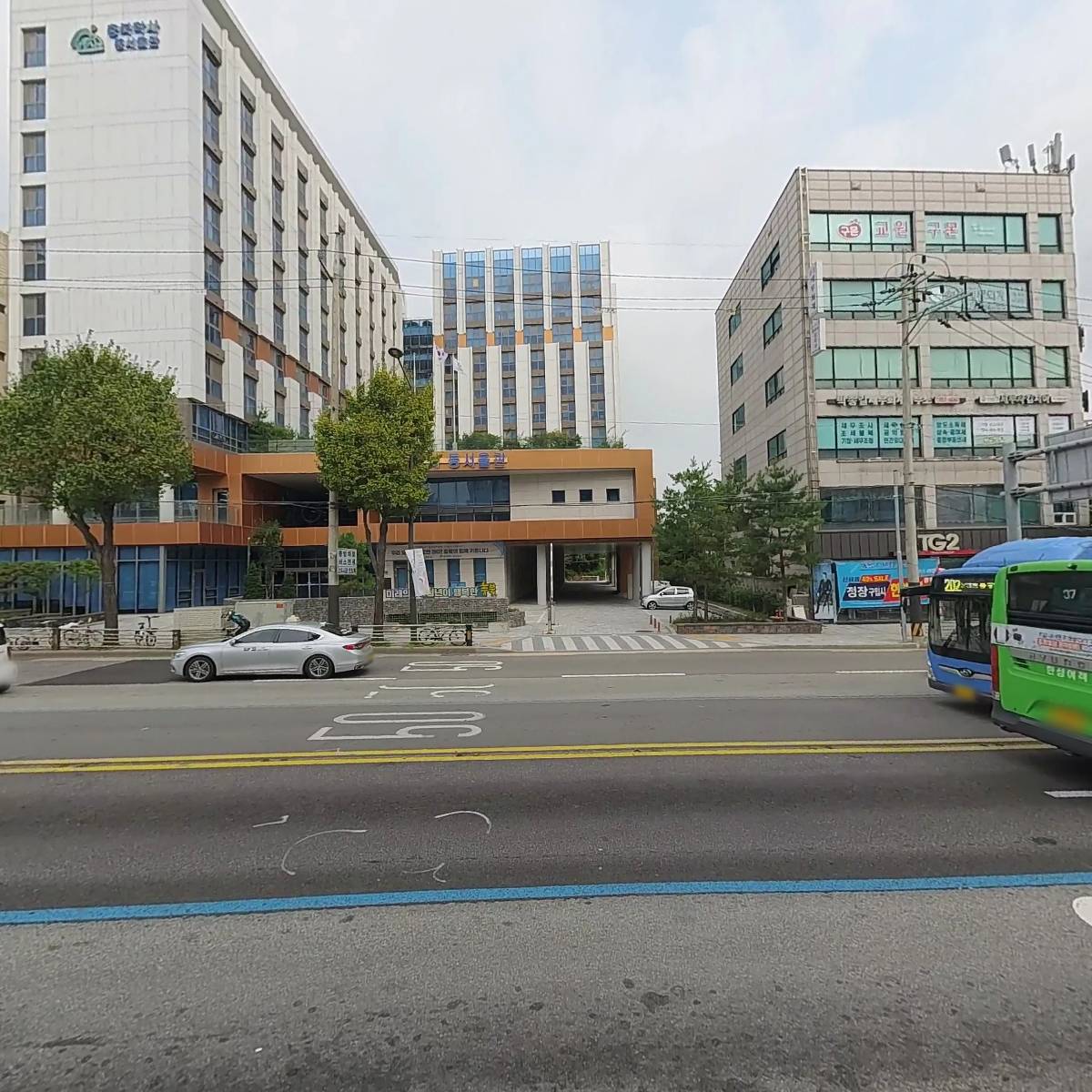 코모스_3