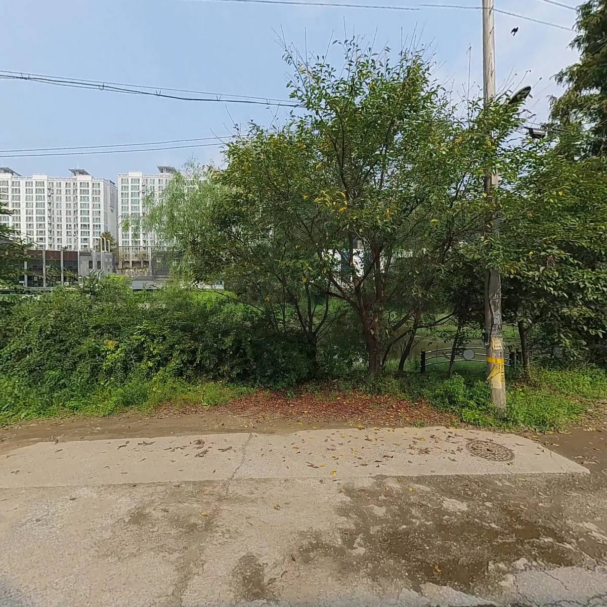 안동김씨서운관정공파하당공종중회_3