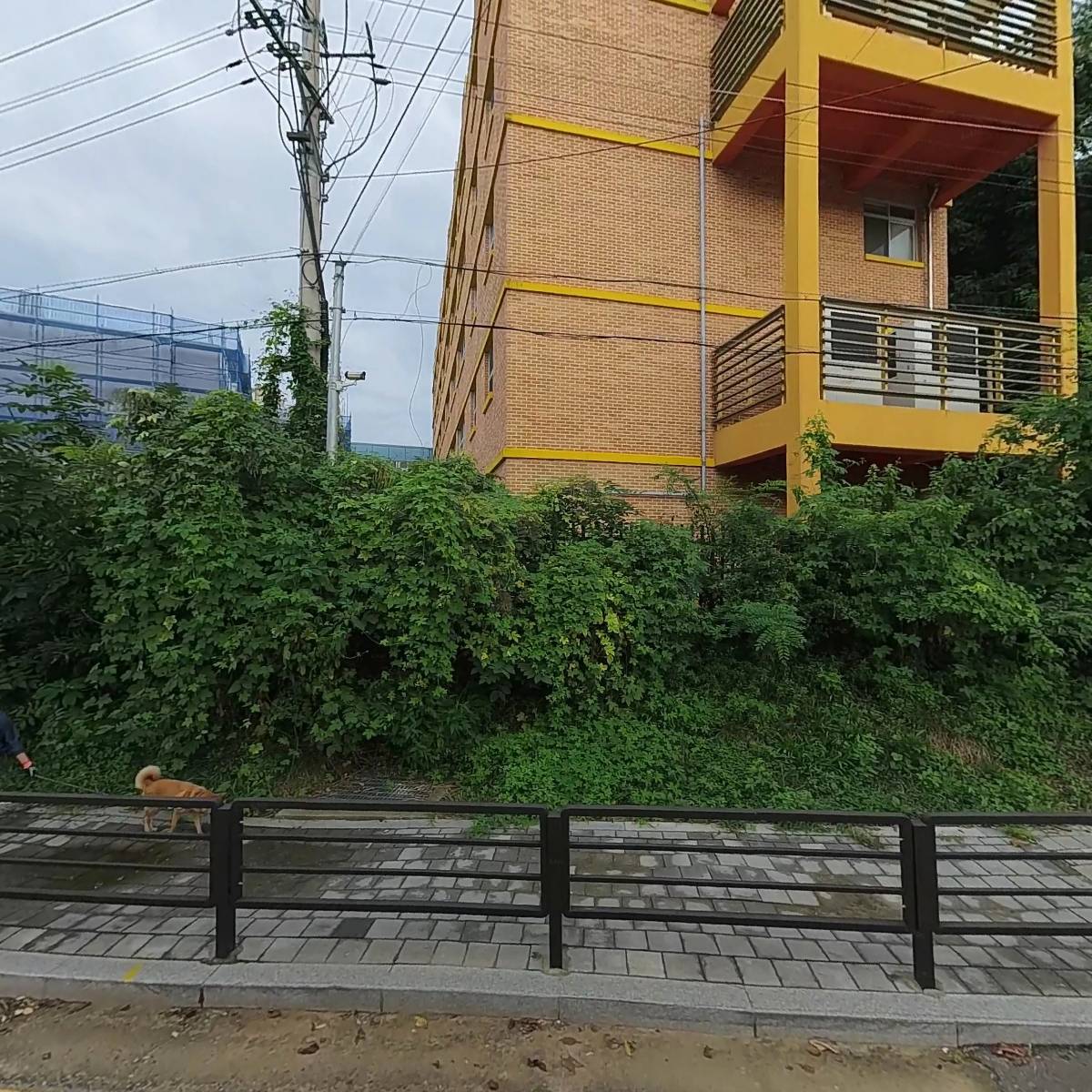 예스2424（yes2424） 693팀
