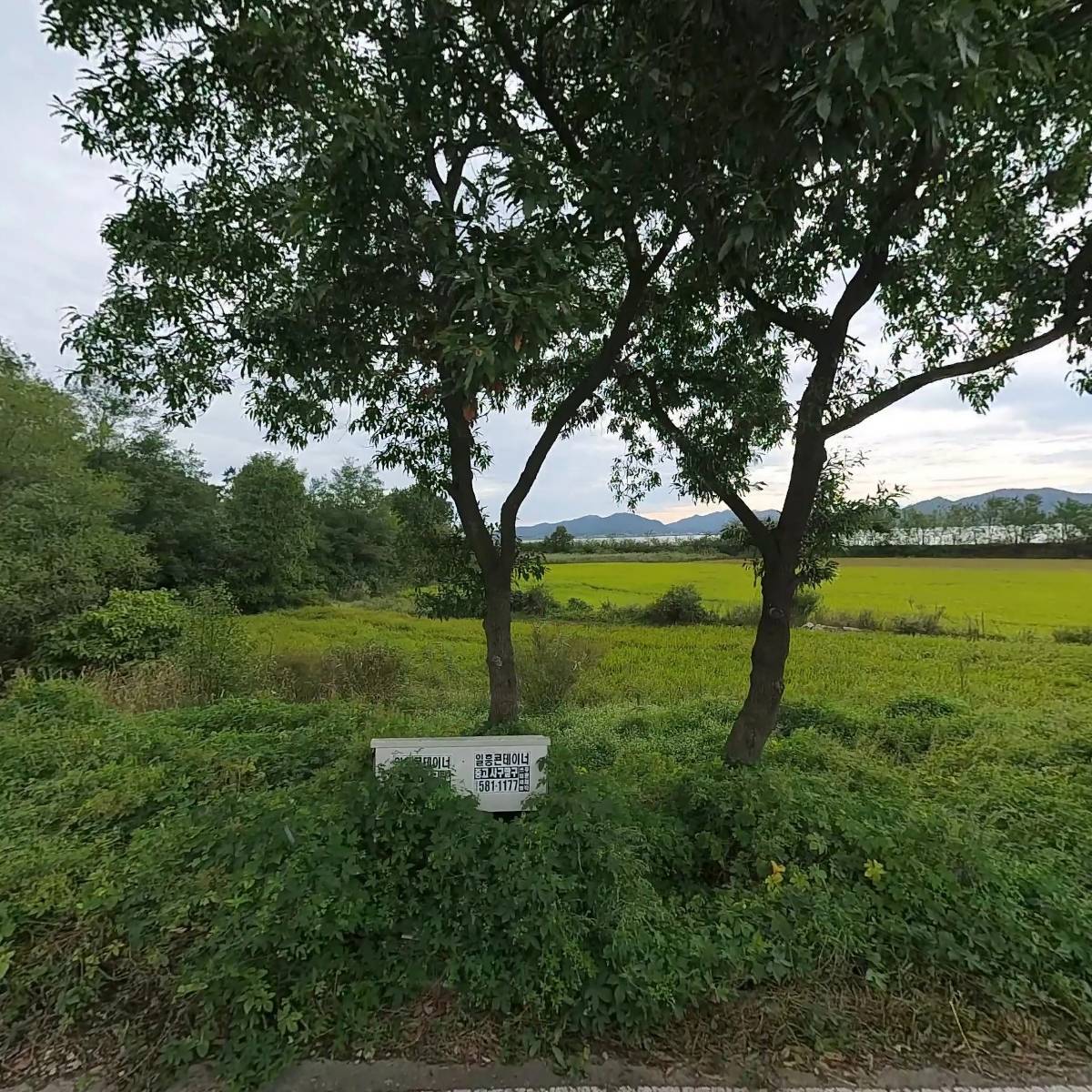 스웨덴마켓_3