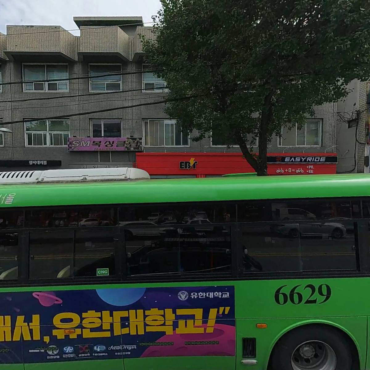 용인대SM복싱클럽본관
