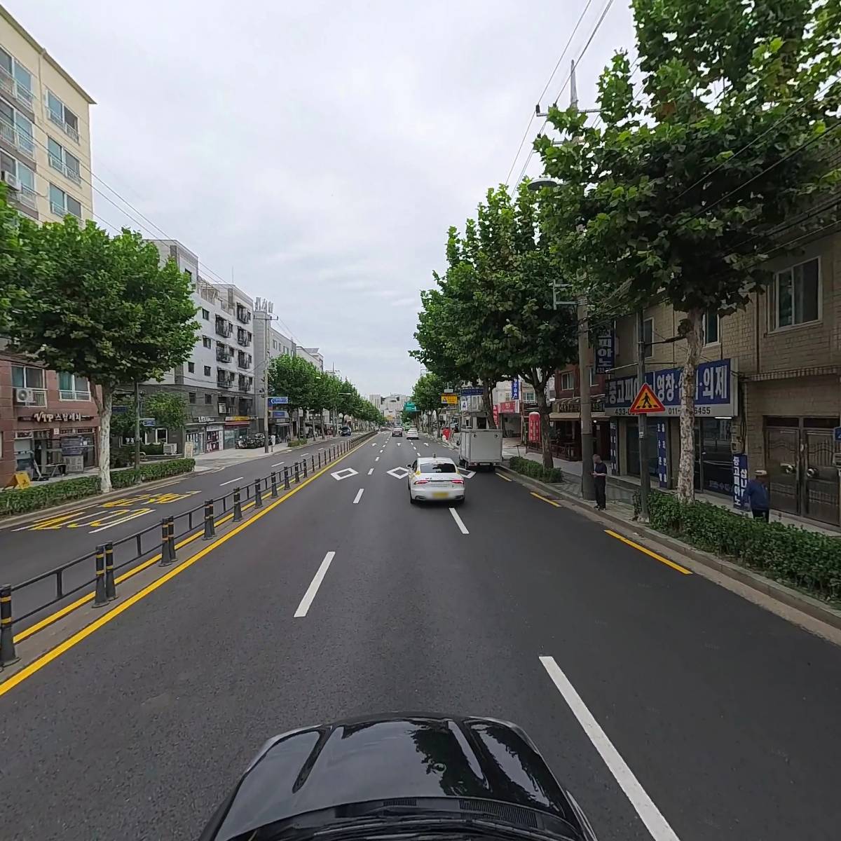 순진한 강아지_4