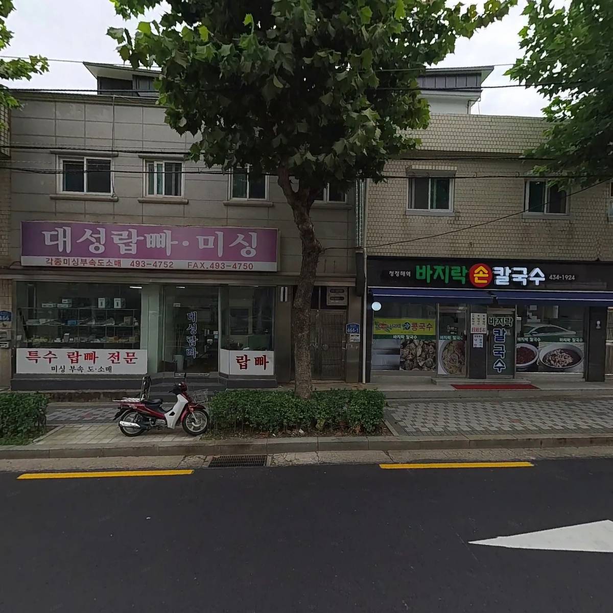 순진한 강아지