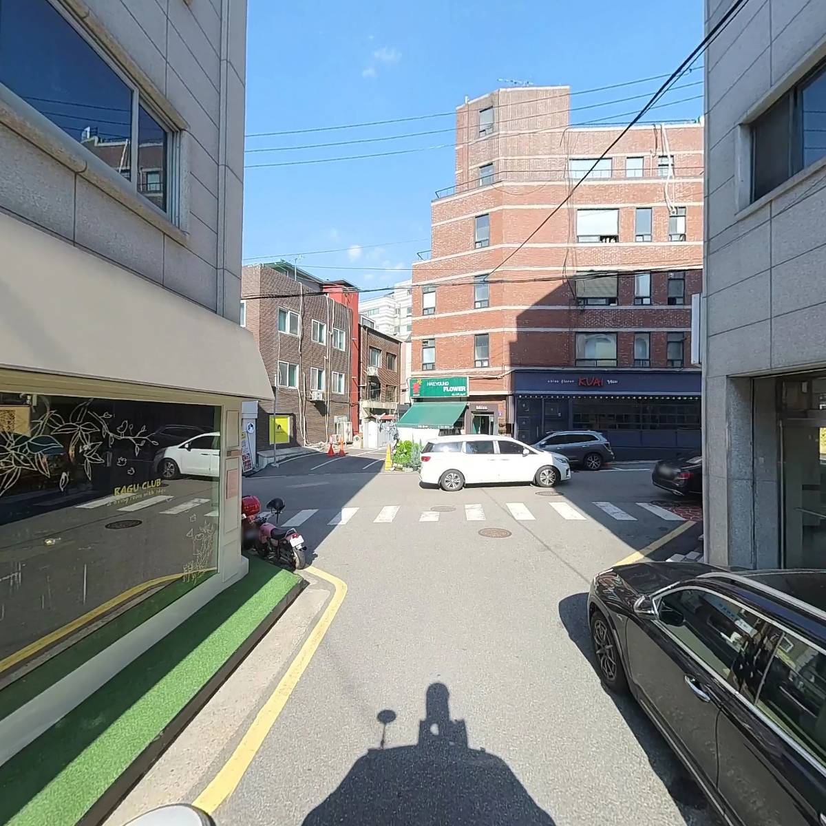 주식회사파레이돌리아_2