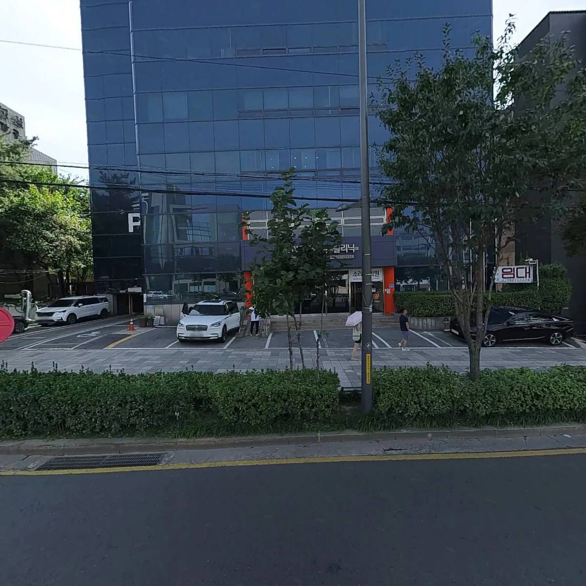 세솔리치