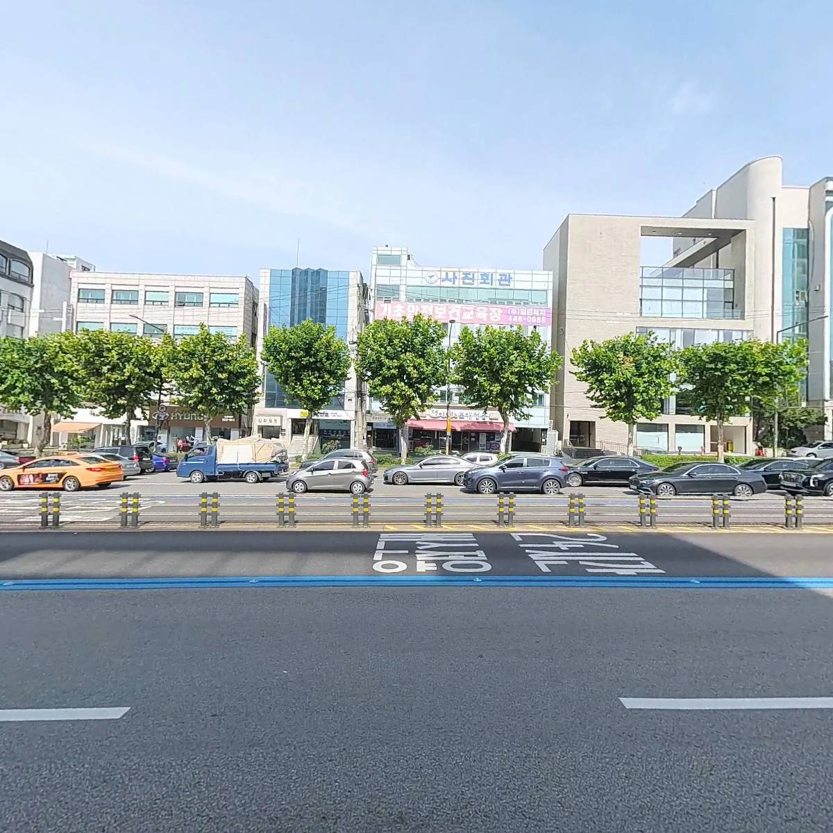 세솔리치_3
